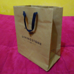 Livingstone Paperbag